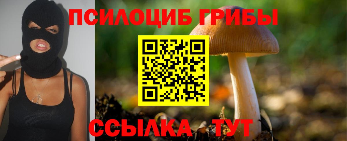 Амурск  Галлюциногенные грибы Magic Shrooms  даркнет сайт  Вход с VPN  Галлюциногенные грибы ЛСД 